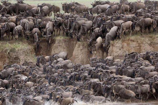 5 Days Serengeti Camping Safari - Day five: flamingos, birds, and Lake Manyara