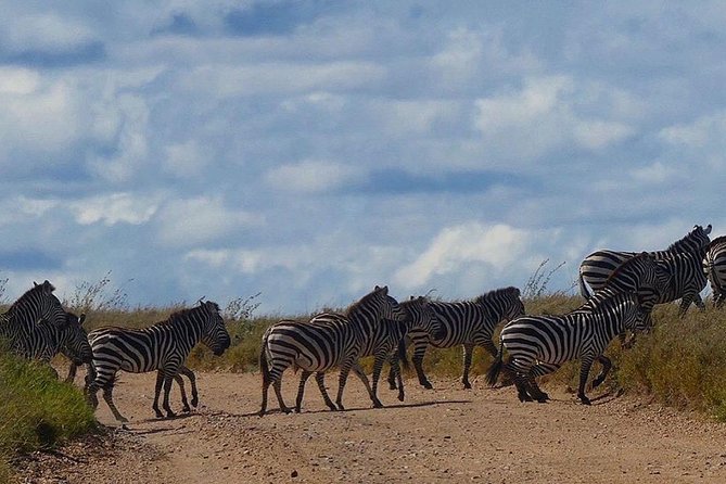 5 days Serengeti safari|Experience the great wildebeest migration - Day 5: Ngorongoro Crater and the return to Arusha