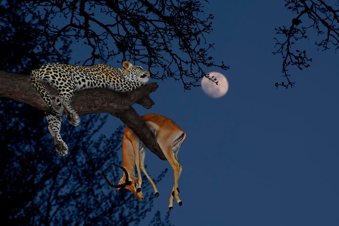 5 Days Tanzania Budget Camping Safari from Arusha - Key points to know before booking