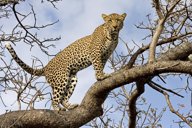 5 Days Tanzania Budget Camping Safari from Arusha - Why this five-day route works