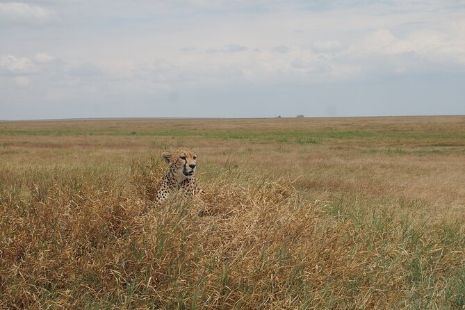 5 days Tanzania Camping Safari - Sleeping near the Ngorongoro Crater
