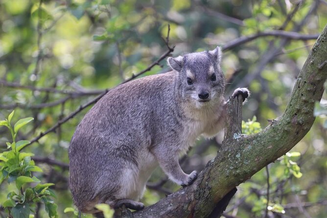 5 Days Tanzania Joining Safari with Pick Up Included Shared Tour - What makes this safari worth a closer look