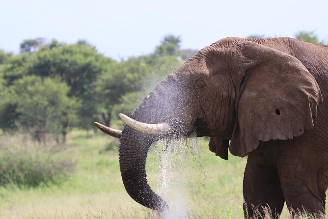 5 Days Tanzania Joining Safari with Pick Up Included Shared Tour - What the $1,500 price really buys you