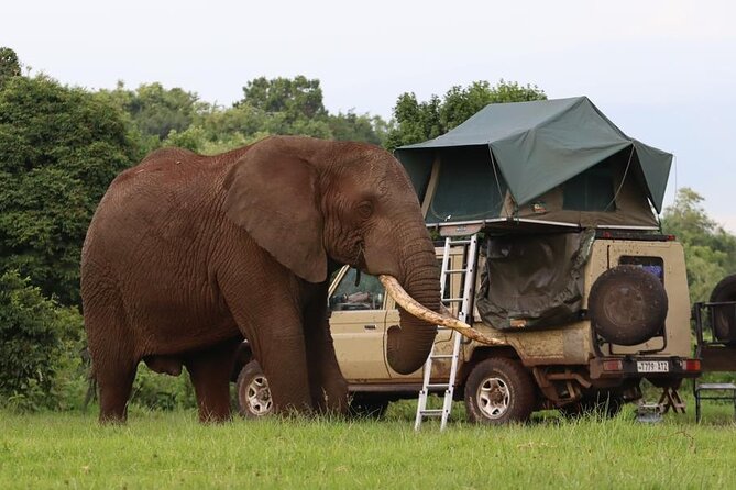 5 Days Tanzania Joining Safari with Pick Up Included Shared Tour - Day 2: The road to the Serengeti