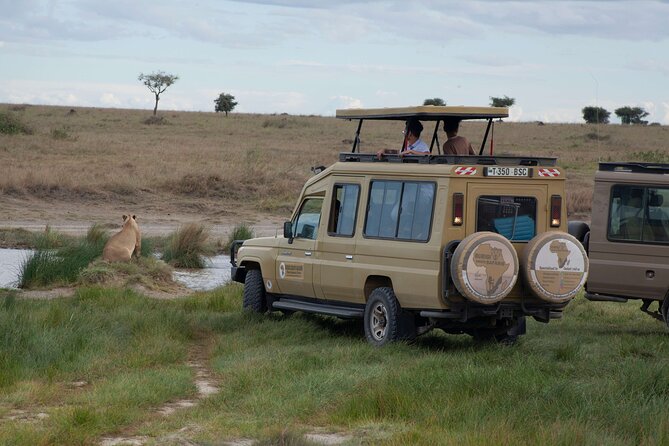 5 days Tanzania midrange lodge Private safari - Day 1: Tarangire’s elephants and baobab country