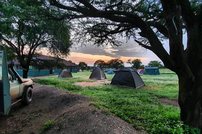 5 Days Tanzania's Wildlife Joint Safari. - Day 5: Lake Manyara adds birds and a final game drive