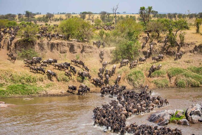 5 Days Tanzania Safari Great Wildebeest Migration - Day 4: From northern Serengeti back toward Ngorongoro