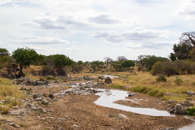 5 Days Tanzania Safari Great Wildebeest Migration - Camping, food, and the daily routine