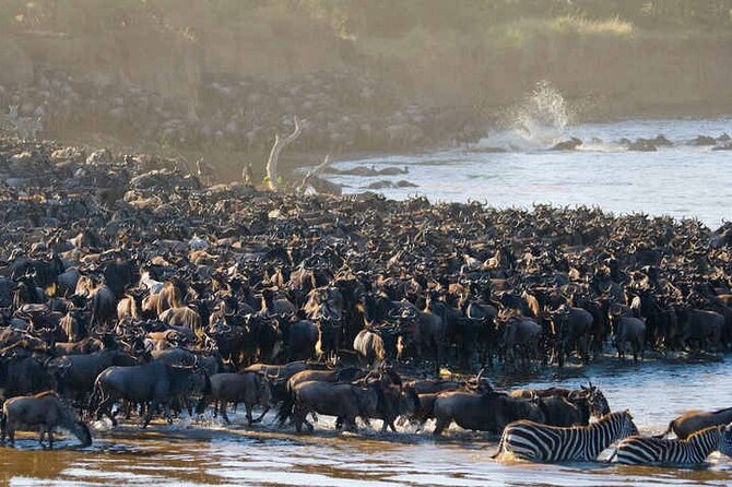 5 Days Tanzania Safari Great Wildebeest Migration - Day 2: Crossing toward the Serengeti