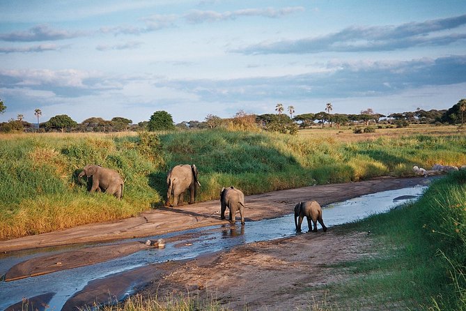 5 Days Tanzania Safari- Tarangire Np, Serengeti Np and Ngorongoro Crater - What this five-day route is really offering