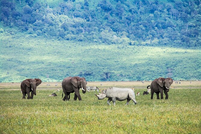 5 Days Tanzania Safari with Serengeti - A small jeep makes the game drives easier