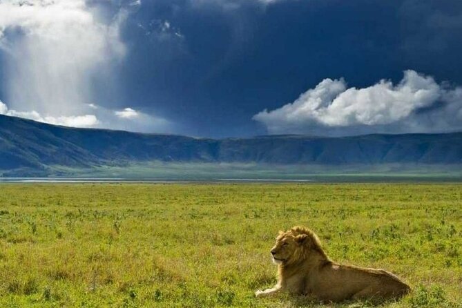 5 Days Tanzania Safari with Serengeti - Day 4: Ngorongoro Crater is the visual highlight
