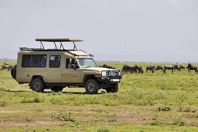 5 Days Tanzania Safari with Serengeti - Day 5: Lake Manyara closes the circuit