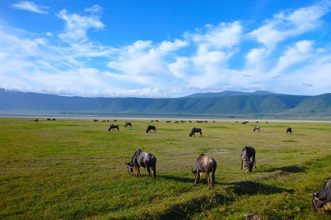5 Days Tanzania Safari with Serengeti - Food, water, and camp life