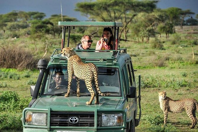5 Days Tanzania Safari with Serengeti - Day 1: Tarangire brings elephants and baobabs first
