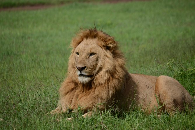5 Days Tarangire ,Serengeti.Ngorongoro and Lake manyara - Key points at a glance