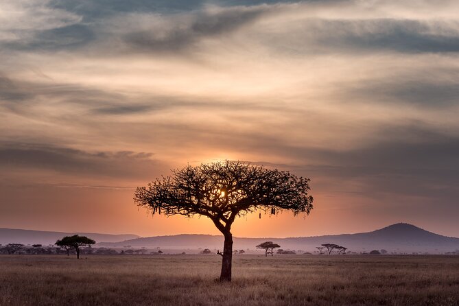 5-days Tarangire-Serengeti-Ngorongoro Safari - Day five: Mto wa Mbu and the return to Arusha
