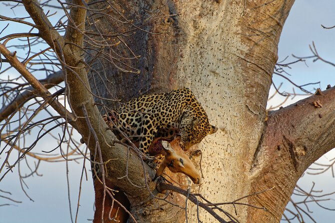 5-days Tarangire-Serengeti-Ngorongoro Safari - What the $2,116 price really covers