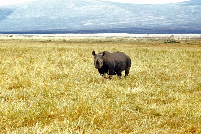 5 days Tour Tarangire, Serengeti, Ngorongoro Crater & Lake Manyara Park-Midrange - Day 5: Lake Manyara closes with birds and hippos