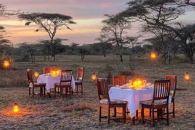 5 Days Wildlife Midrange Safari to Tarangire, Serengeti, Ngorongoro and Manyara - Comfort, pace, and practical preparation