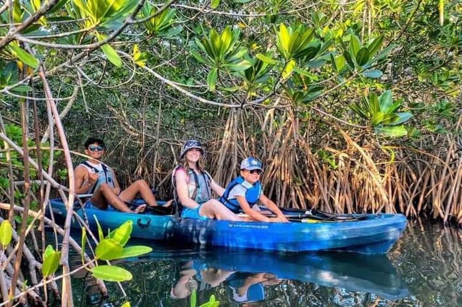 5 h kayak tour through the mangrove forest - Key points to know before booking