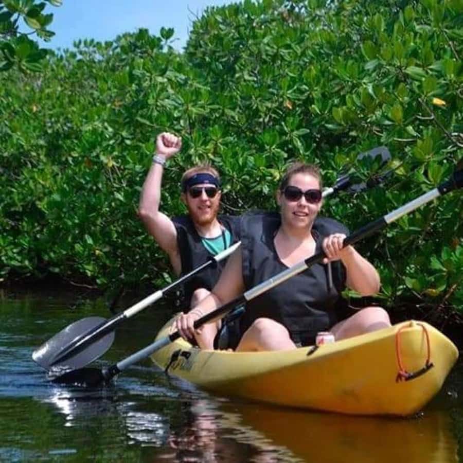 5 h kayak tour through the mangrove forest - Why the mangroves are the main attraction
