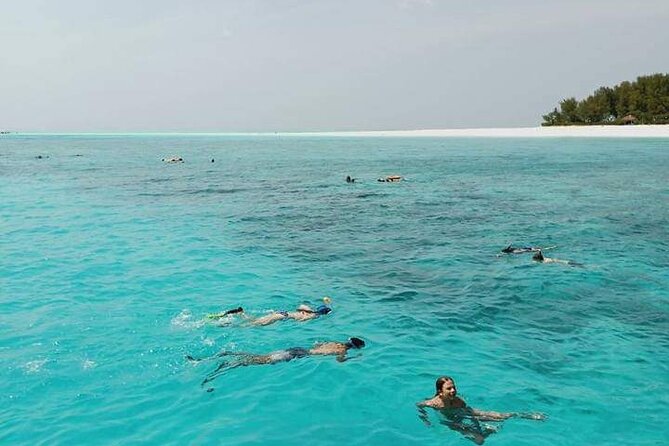 5-Hour Snorkeling, Swimming with Dolphins and Sea Turtles Aquarium - Mnemba snorkeling from Nungwi at 8:30 a.m.