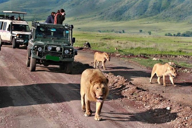 5Days Tanzania Camping Safari to Lake Manyara Serengeti And Ngorongoro Crater from Arusha - Day 3: A full Serengeti day with three game-drive periods