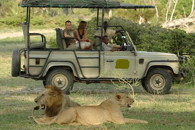 5Days Tanzania Camping Safari to Lake Manyara Serengeti And Ngorongoro Crater from Arusha - Day 2: The long road into Serengeti National Park
