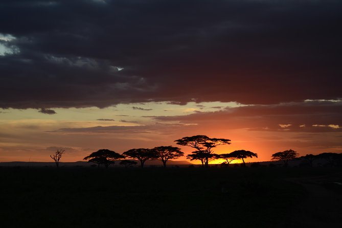 5days Tanzania Safari lodge and camping Serengeti, Tarangire & Ngorongoro Crater - Key points to know before booking