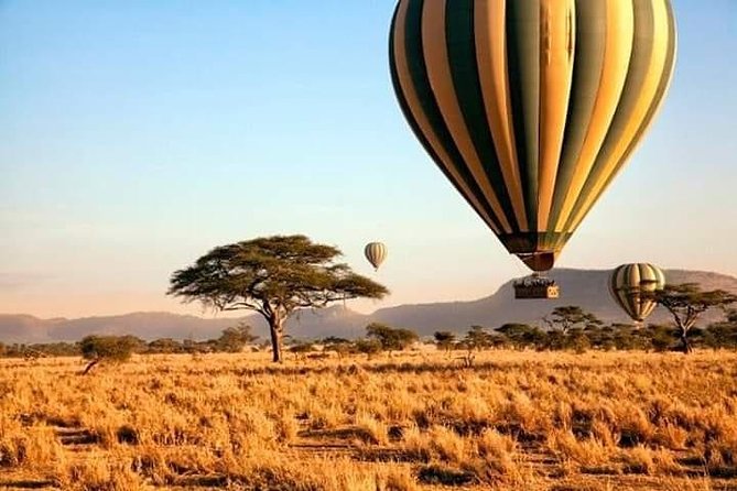 5days Tarangire,Serengeti,ngorongoro Crater and Lake Manyara National park - Why this northern Tanzania route works