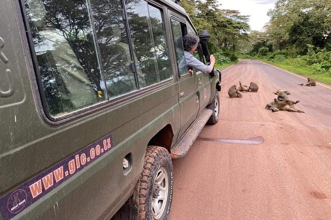 5days Tarangire,Serengeti,ngorongoro Crater and Lake Manyara National park - Day 1: Arusha to Tarangire and the elephant country