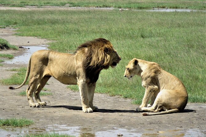 6- Day Adventure Lodge safari to see Migration - Day 2: The long road toward Serengeti