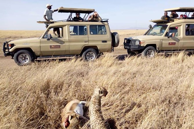 6-Day Budget Lodge Safari in Tanzania - How the $3,720.31 price holds up