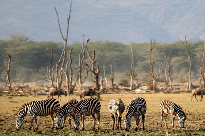 6 Day: Epic Northern Safari - Key points at a glance