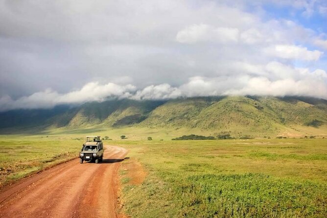 6 Day: Epic Northern Safari - Day 4: Set your own Serengeti rhythm