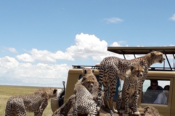 6 Day Group Camping Safari Tarangire Serengeti Ngorongoro Manyara - Why this six-day route works