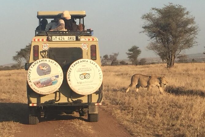 6 Day Group Camping Safari Tarangire Serengeti Ngorongoro Manyara - Day 1: elephants and baobabs in Tarangire