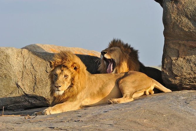 6 Day: Magnificent Wildlife Adventure - Key points at a glance