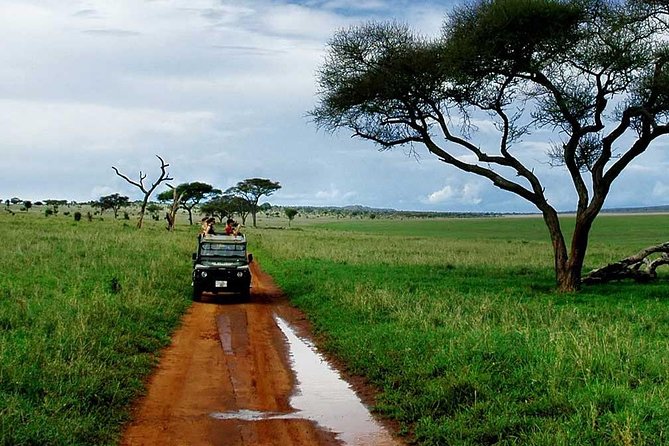 6 Day: Magnificent Wildlife Adventure - Day 5: Down into Ngorongoro Crater