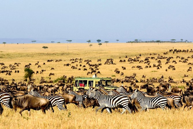 6 Day: Magnificent Wildlife Adventure - Day 1: Tarangire’s elephants and giant baobabs