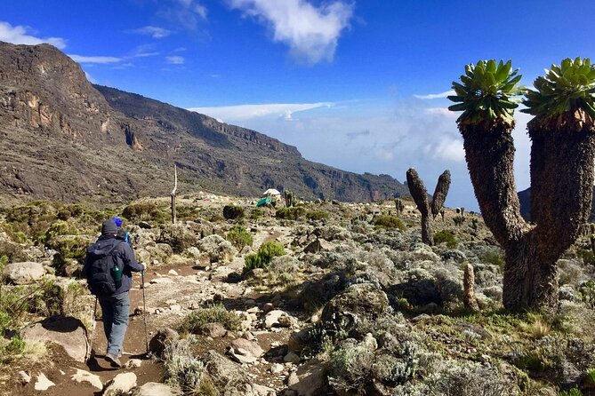 6 Day Private Kilimanjaro Climbing Via Rongai Route - Why Rongai Is a Good Six-Day Choice