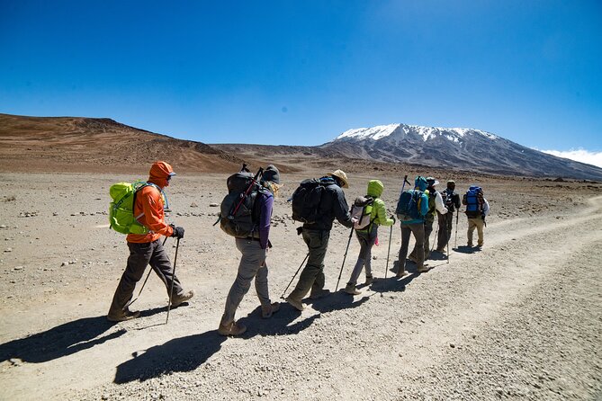 6 Day Private Kilimanjaro Climbing Via Rongai Route - What the Private Arrangement Adds