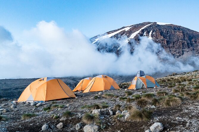 6 Day Private Kilimanjaro Climbing Via Rongai Route - Day Two: Moorland Views Toward Kibo