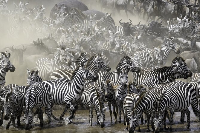 6-Day Private Safari in Northern Tanzania from Arusha - Key Points About This Tanzania Safari