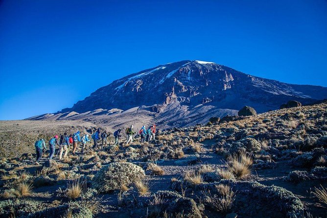 6-Day Rongai Route Trek in Mount Kilimanjaro - Why Rongai suits climbers who prefer a quieter start
