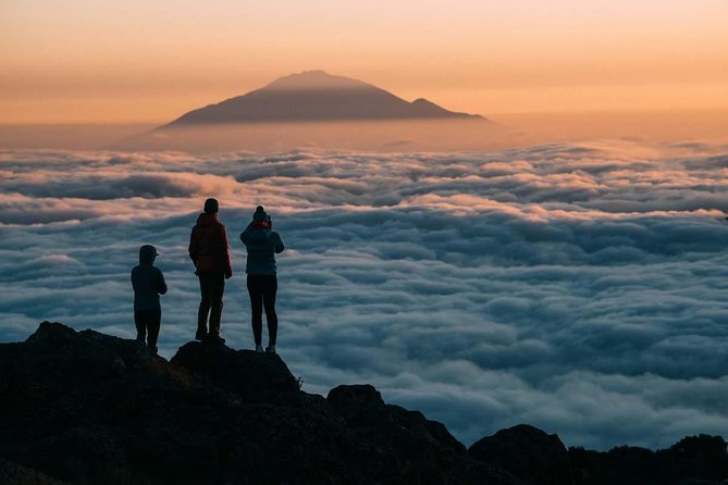 6-Day Rongai Route Trek in Mount Kilimanjaro - Day 5: Uhuru Peak and the long descent
