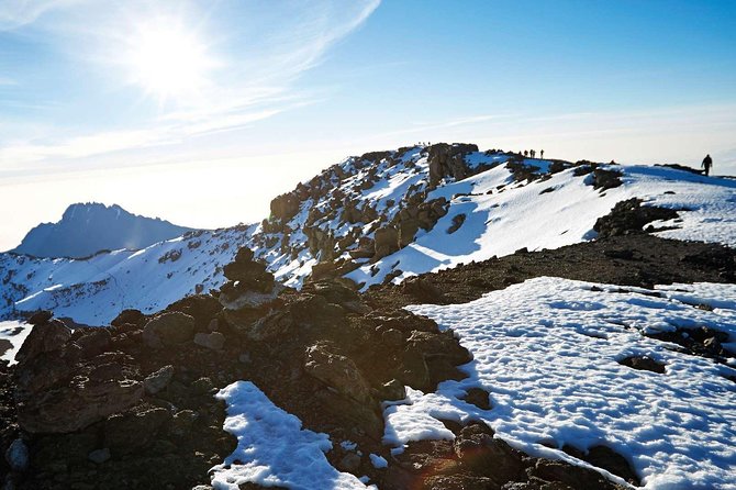 6-Day Rongai Route Trek in Mount Kilimanjaro - Day 6: Descending through forest to Marangu