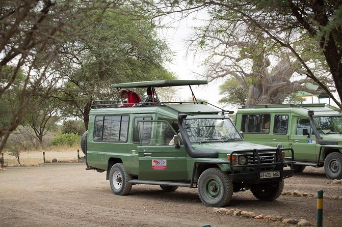 6-Day Safari in Tanzania's Northern Parks - Is $2,987 good value for six days?