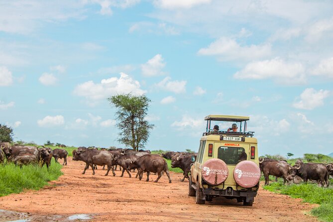 6 Day Serengeti wildebeest migration Camping Safari - What the $15,000 price really needs to cover